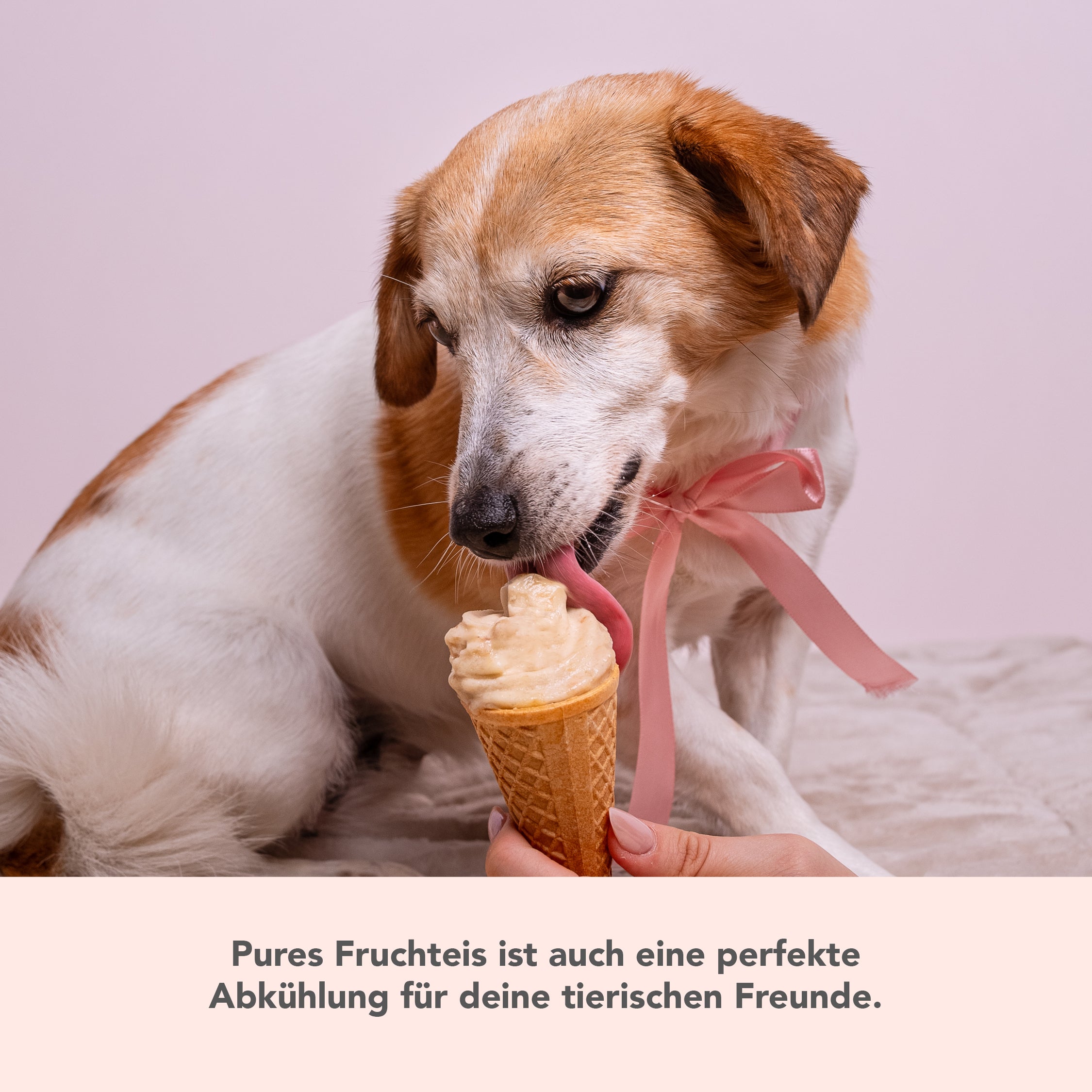 Softeis-Aufsatz für WunderCentix®