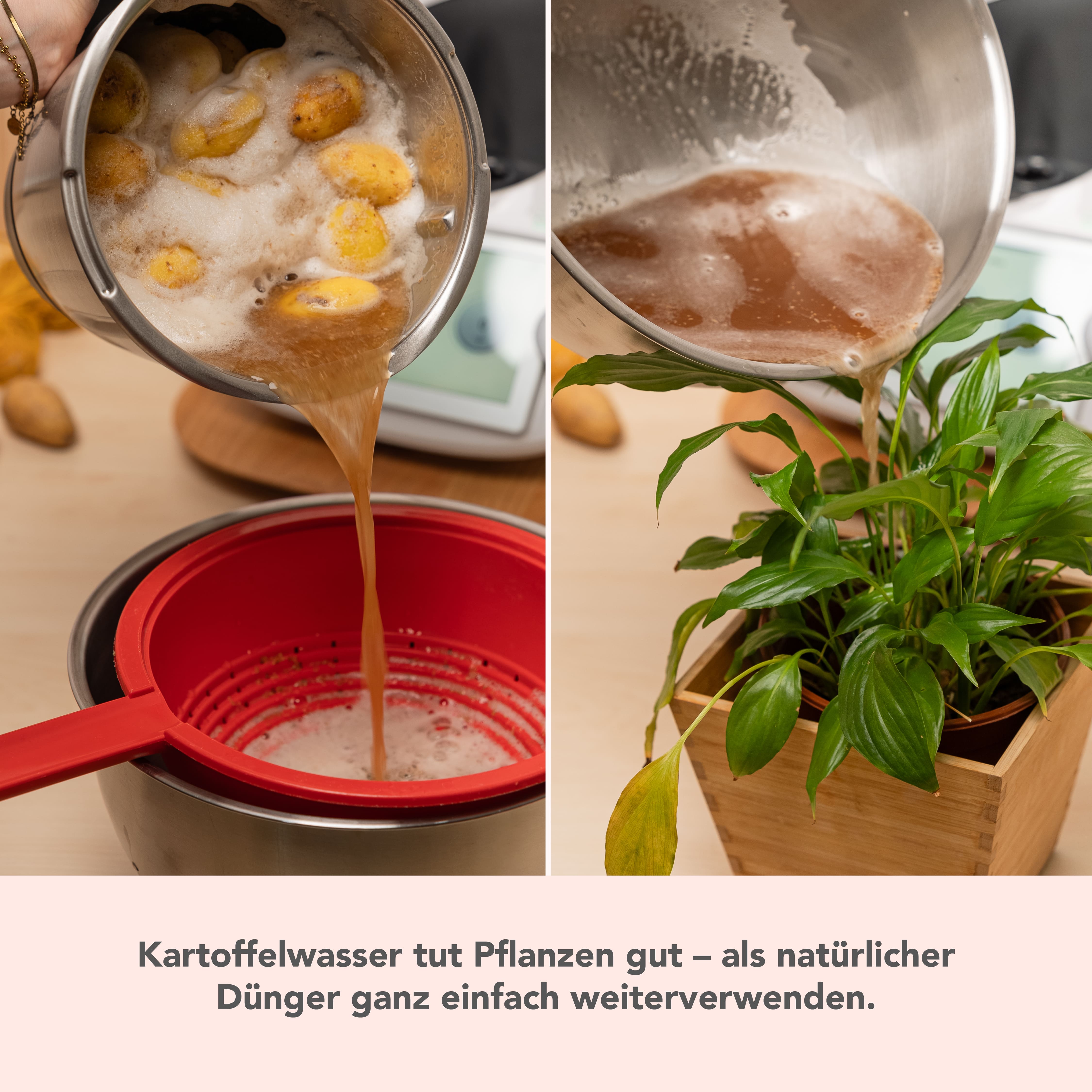 WunderPeeler® (ohne Träger) | Kunststoff-Reibscheibe zum Kartoffel schälen